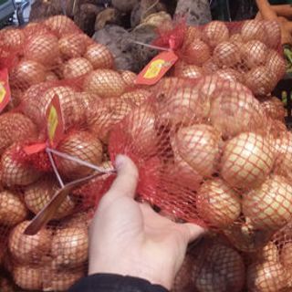 Hành Tây Đà Lạt