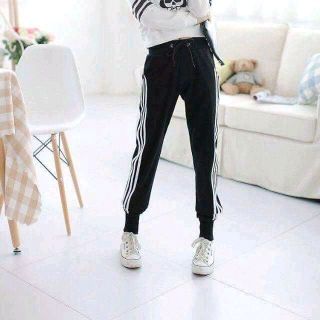 quần nỉ 3 sọc