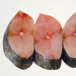 CÁ THU MỘT NẮNG-CÁ THU KHÚC