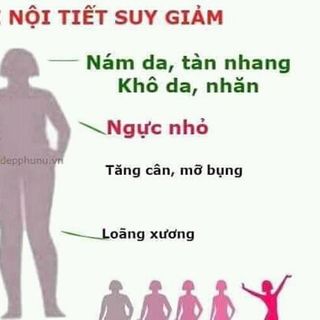 MẦM ĐẬU NÀNH NGUYÊN XƠ
