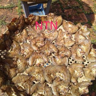 khô cá phi vuông láng thiên nhiên giá lẻ 250k/1kg