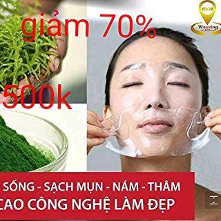 VI KIM TẢO BIỂN THẦN THÁNH