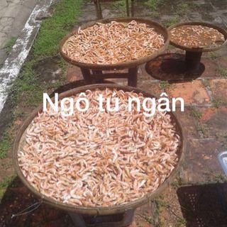 khô tôm đất nguyên chất giá lẻ L1 1400k/1kg L2 1200k/1kg