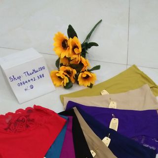 quần thông hơi phối ren 3356