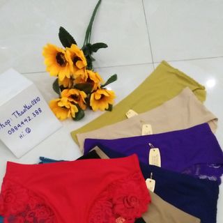 quần thông hơi phối ren 3356