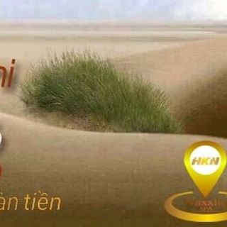 TRIỆT LÔNG VĨNH VIỄN BIKINI