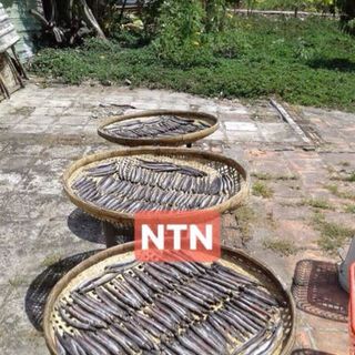 khô cá kèo bao ngon giá lẻ 350k/1kg