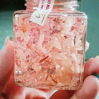 Mặt nạ ngủ Collagen tổ yến tươi LyHazi
