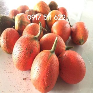 SON DƯỠNG GẤC TRỊ THÂM MÔI NỨT NẺ MÔI