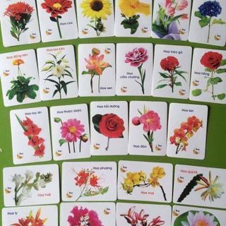 Bộ thẻ học thông minh 16 chủ đề cho bé yêu