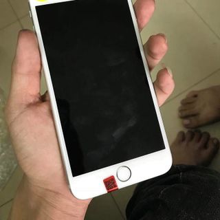 Táo Zin - Rẻ nhất Việt Nam