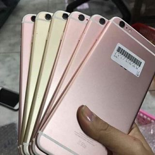 Táo Zin - Rẻ nhất Việt Nam