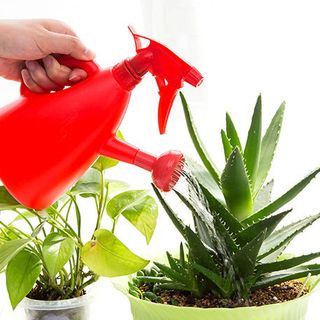 Bình Xịt Tưới Cây Đa Năng 2 in 1