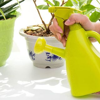 Bình Xịt Tưới Cây Đa Năng 2 in 1