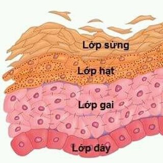 SỮA RỬA MẶT URISKIN CỦA MỸ