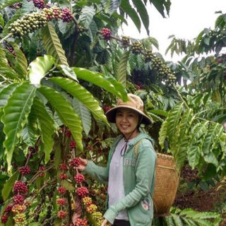 Cafe Lê Nguyên Organic sạch - nguyên chất 100