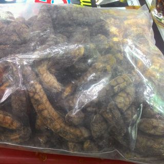 chuối hột rừng