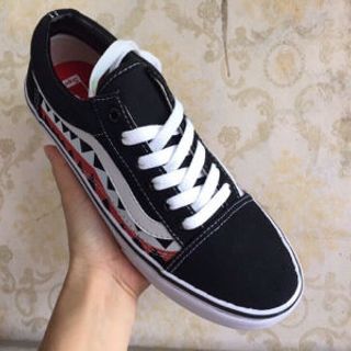 VANSCá Mập