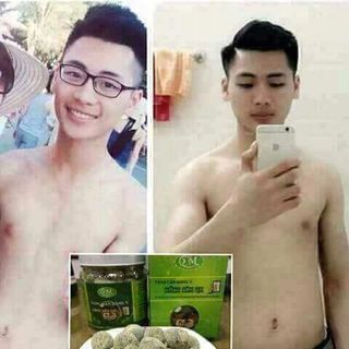 tăng cân đông y hồng sâm