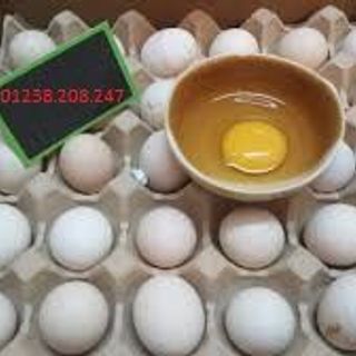 Trứng gà ác
