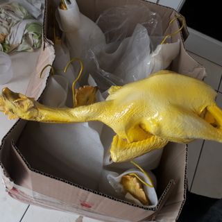 Mô Hình Thực Phẩm Bằng Nhựa Làm Theo Yêu Cầu