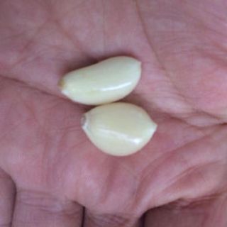 Hành tỏi Bắc thơm ngon
