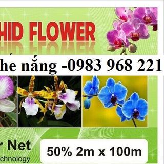 Lưới che nắng
