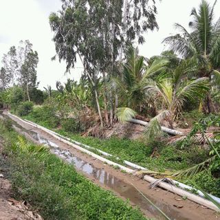 SIÊU ĐÔ THỊ HAPPY HOME ĐẨY NHANH TIẾN ĐỘ CÔNG TRÌNH