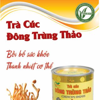 Trà cúc đông trùng thảo