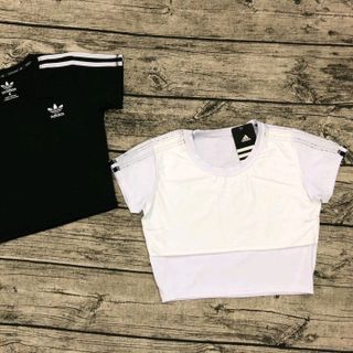 CROPTOP CÓ TAY NỮ