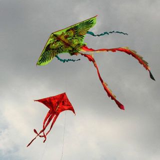 diều nilong có đuôi và hình