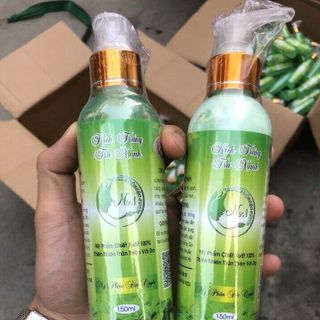 Kích trắng trà xanh