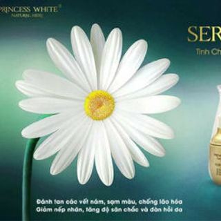 Serum 3in1
