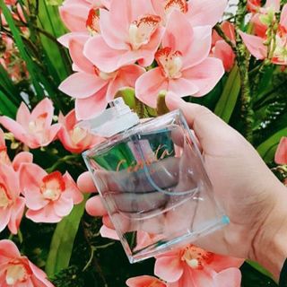 Nước hoa Pháp Cenota Je T’Adore