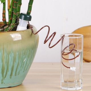 Combo 2 dụng cụ tưới cây tự động