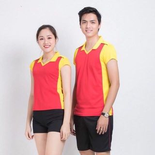 Bóng chuyền nam nữ