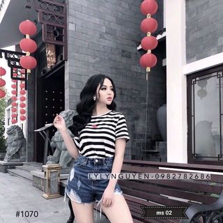 quần short jean giá sỉ