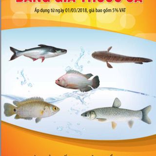 Thuốc Thú Y - Thuốc Thủy Sản Công Ty Liên Doanh TNHH Anova