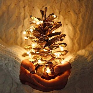 đèn đom đóm 2m dùng pin