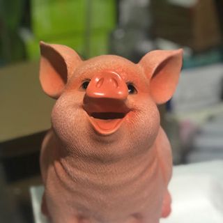 Lợn tiếp kiệm giá sỉ