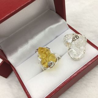 Nhẫn Kim tiền Tù hưu bạc ta