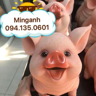 Heo nhựa 5D