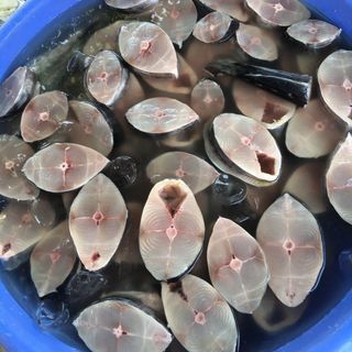 Cá Thu Tươi Cắt Khúc