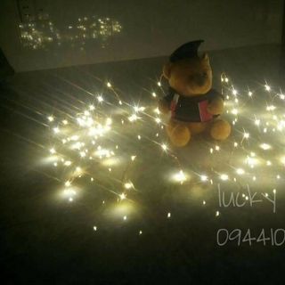 Dây đèn đom đóm fairy light 10m
