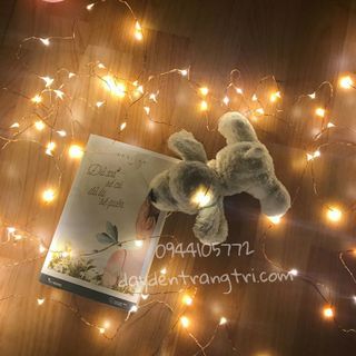 Dây đèn đom đóm fairy light 10m