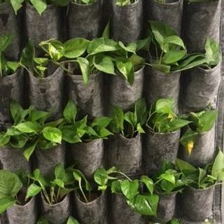Túi Vải Trồng Cây 20 ngăn