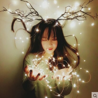Dây đèn Fairy Light đom đóm chipsbling 5 mét dùng pin vàng nắng