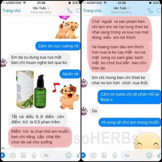 Sửa Rửa Mặt Khổ Qua