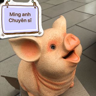Heo tiết kiệm