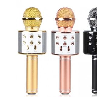 Đặt sỉ Mic kèm Loa Bluetooth WS-858 đa năng 6 trong 1 hát Karaoke giá sỉ